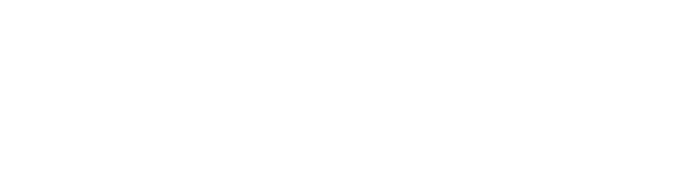 Forza Fortuna!